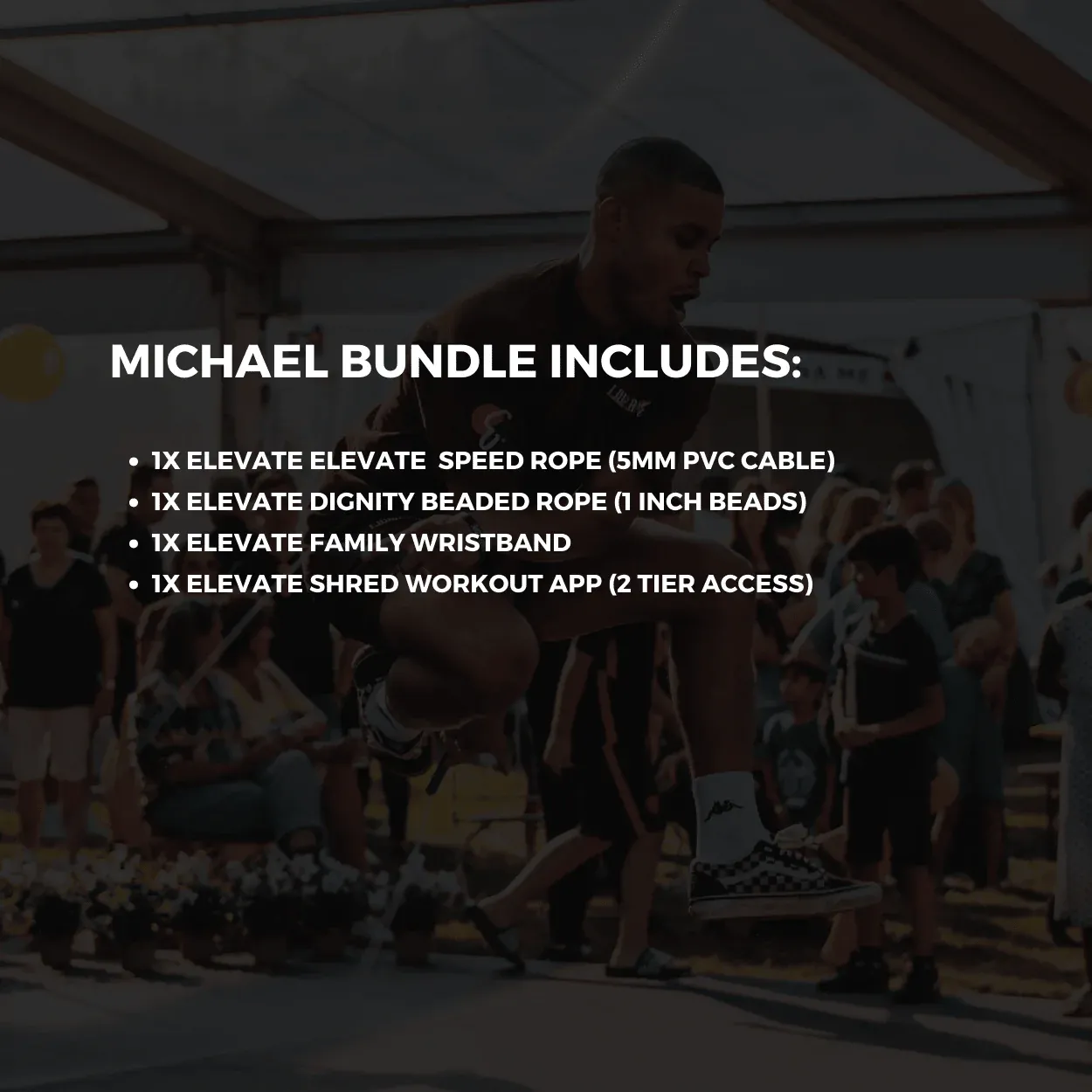 Michael Lerner Bundle - Image 3